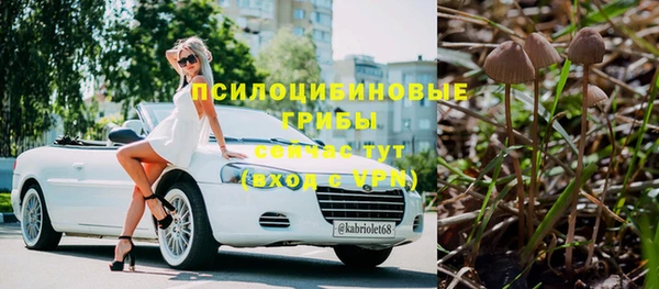 дживик Балахна