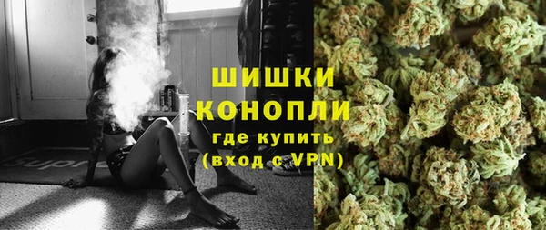 дживик Балахна