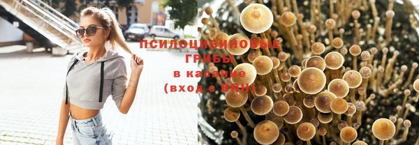 дживик Балахна