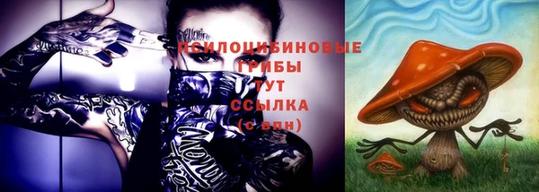 дживик Балахна