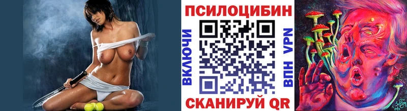 Псилоцибиновые грибы Cubensis  сайты даркнета состав  Няндома 